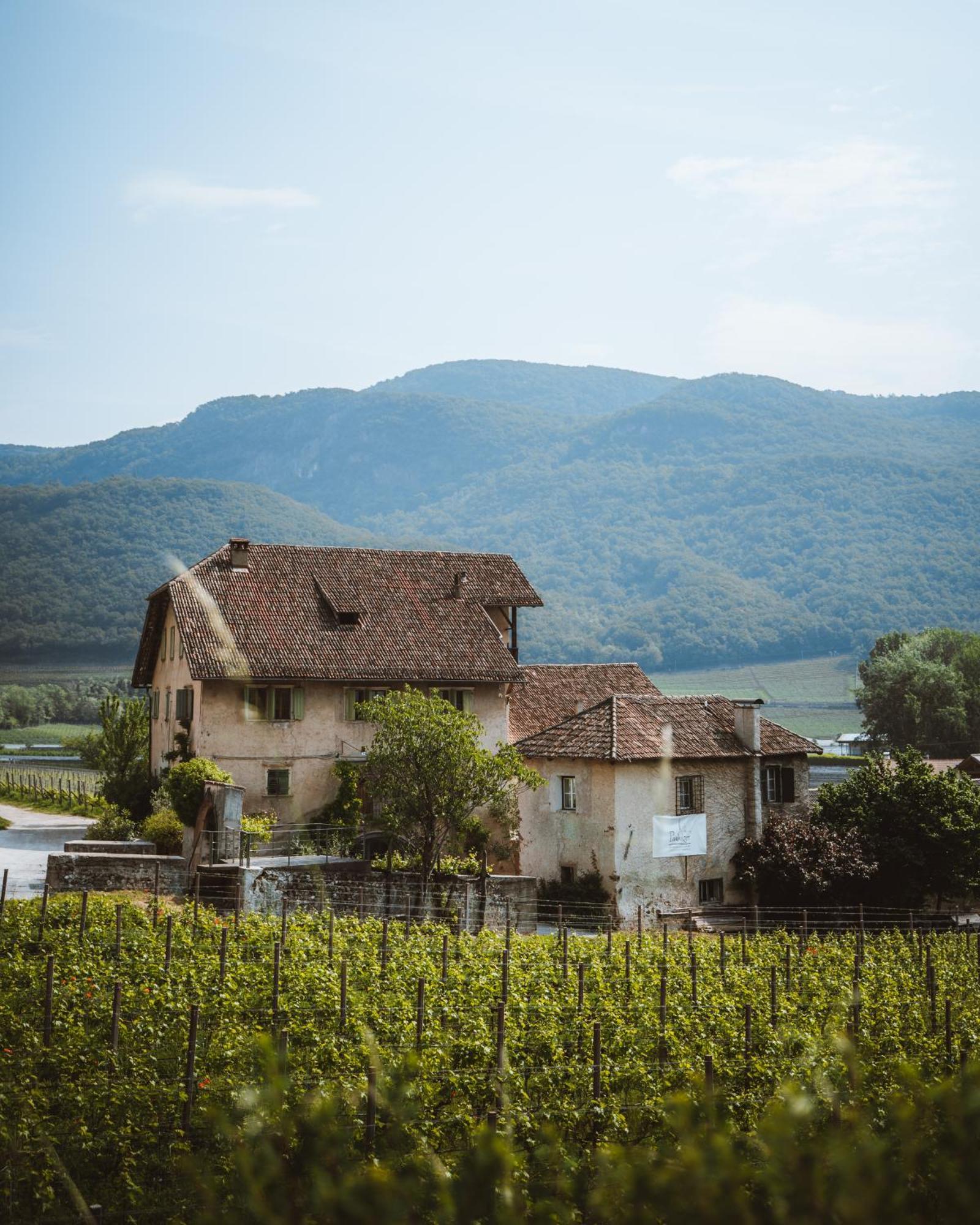 Weinbergsuite Panholzer Caldaro Buitenkant foto